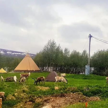 Fjallnaes Camping & Lodges Ostra Malmagen Exterior photo